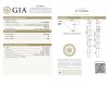 1 Carat Princess GIA Report