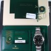 Pre-Owned Rolex 41MM Oyster Perpetual (2022) Stainless Steel#124300 b and p