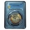 1894-S Morgan Dollar MS65 PCGS Stunning Toning