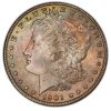 1901-O Morgan Dollar MS66+ PCGS + CAC Toned