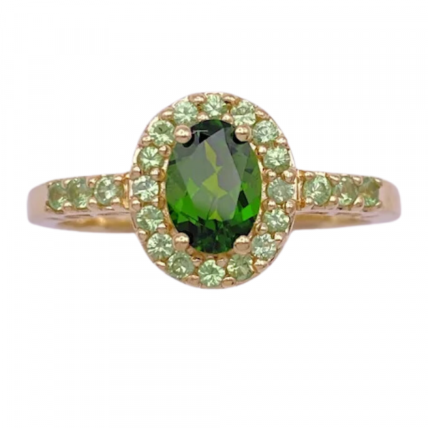 1.40ctw Prasiolite Halo Tsavorite Garnet Ring 14K (2)